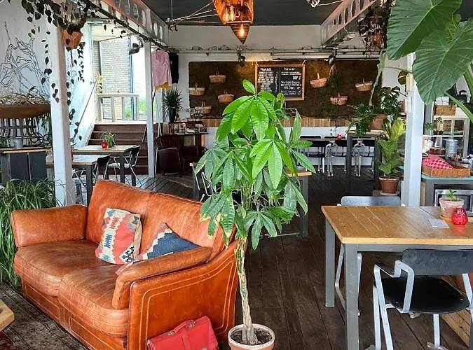 Heerlijk Aan Het Strand Chalet